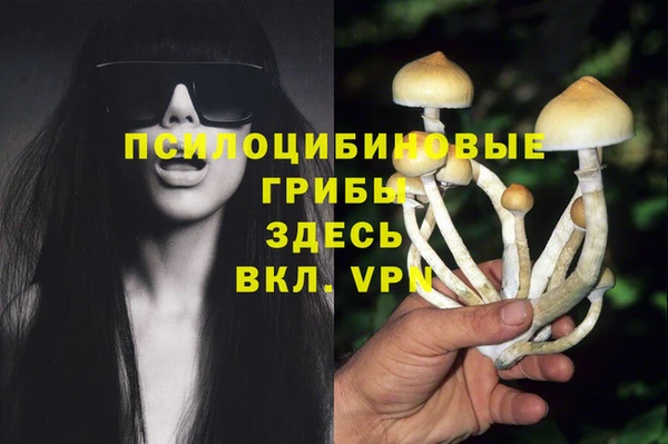 MESCALINE Баксан