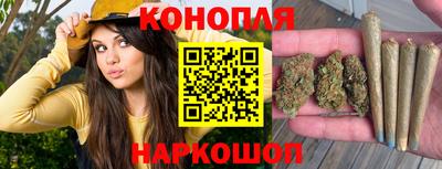 бошки Будённовск