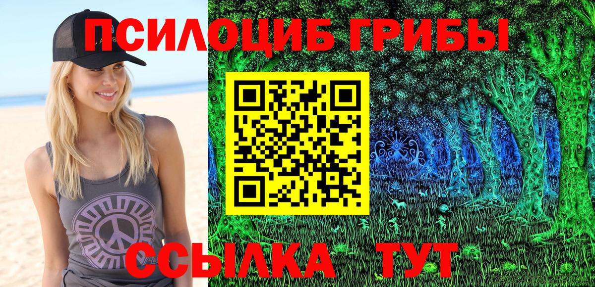 Галлюциногенные грибы Cubensis  Ярцево  Галлюциногенные грибы Psilocybine cubensis 