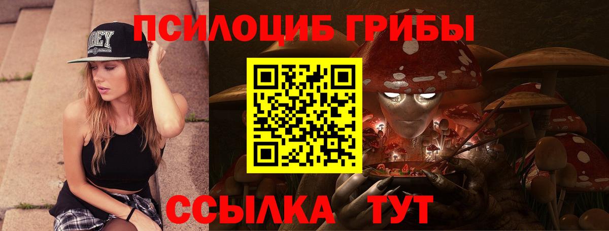 Галлюциногенные грибы Psilocybine cubensis Ярцево